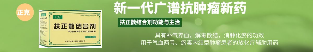 首页二级广告图