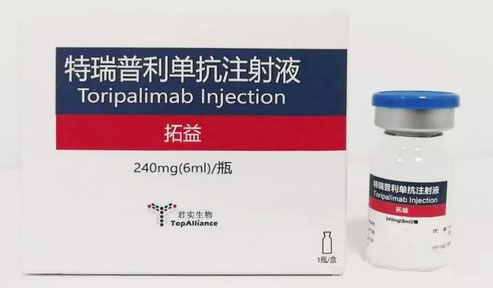 瑞普利单抗注射液